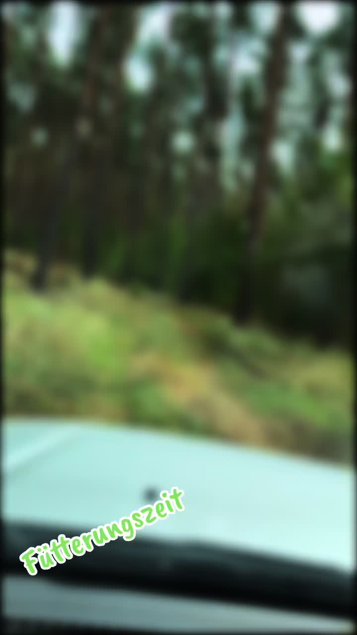 @moczii🐇💫
