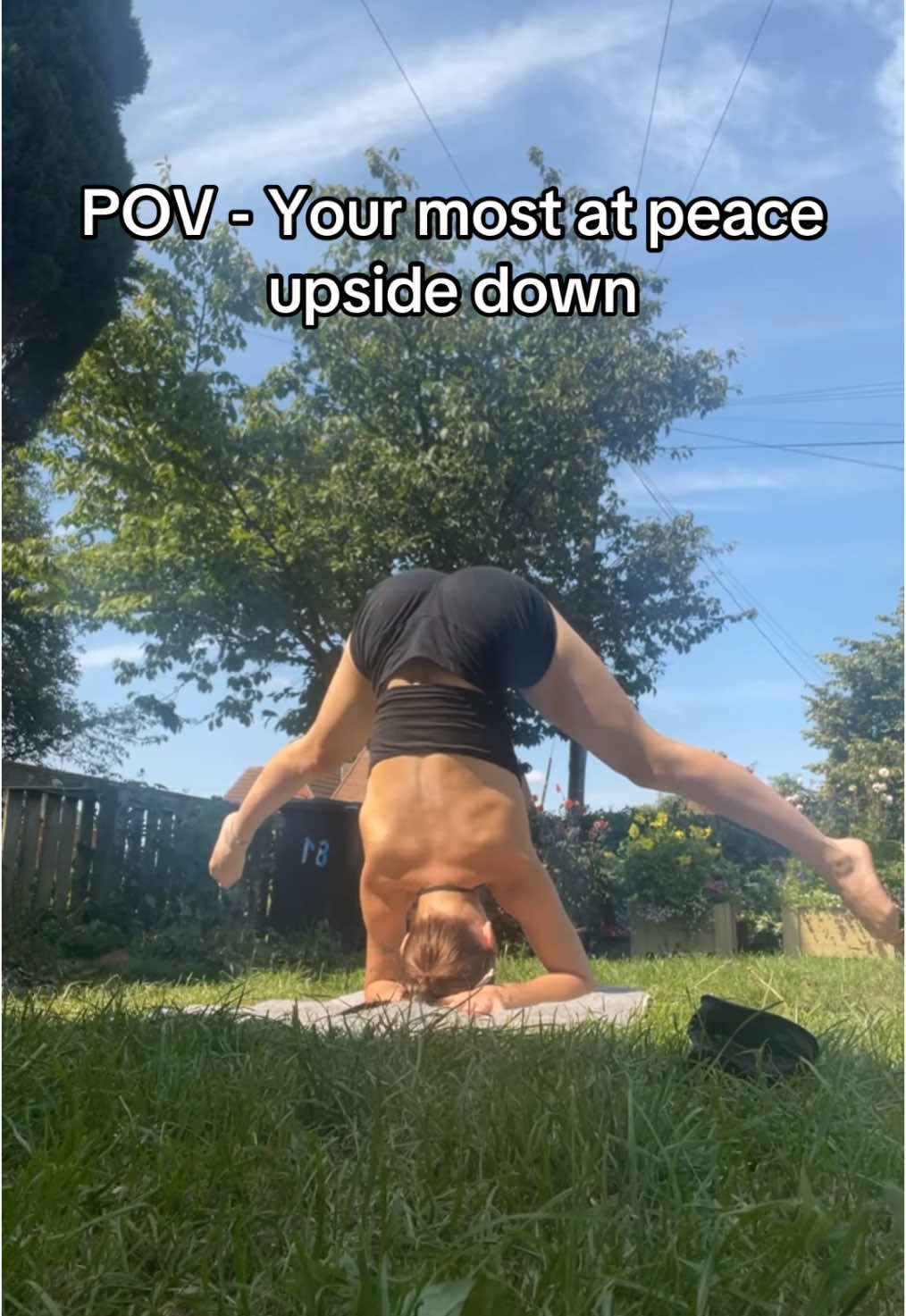 @Madison Peta