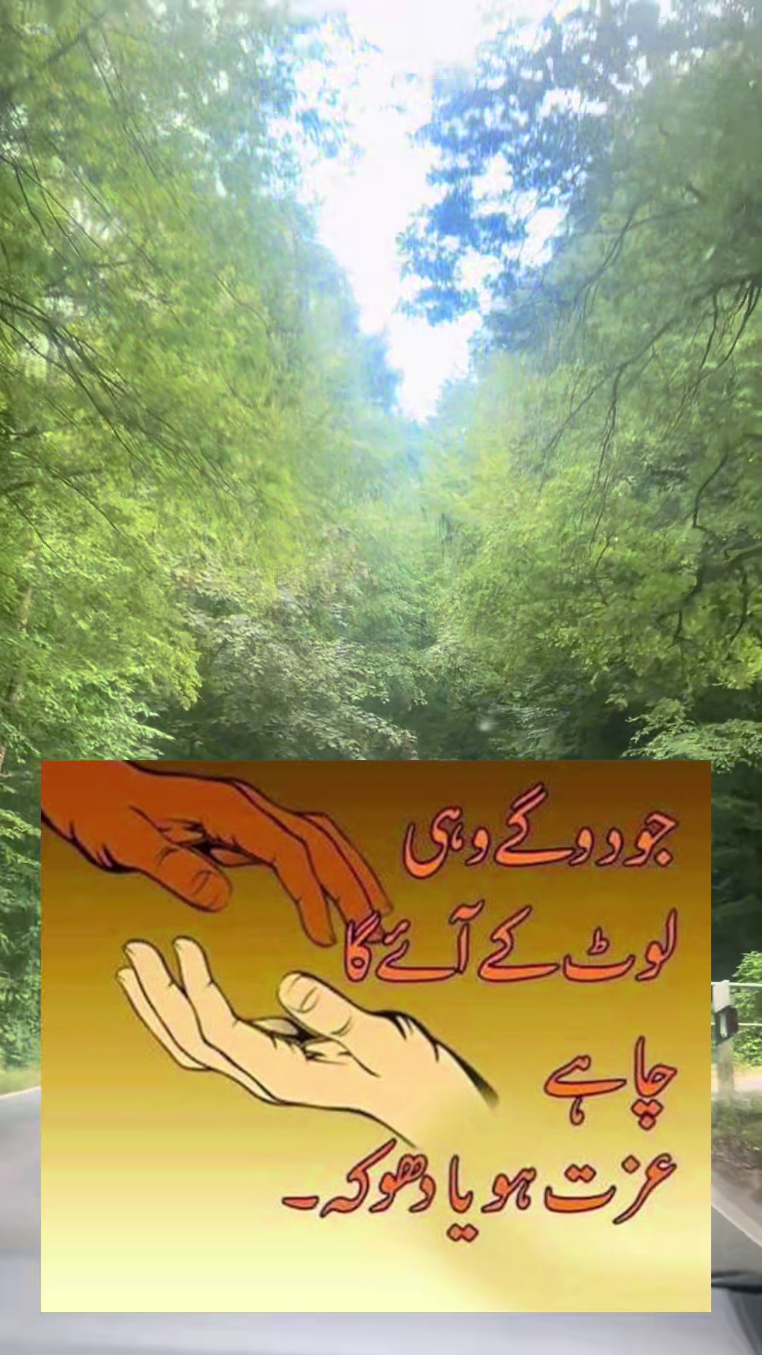 @Saba