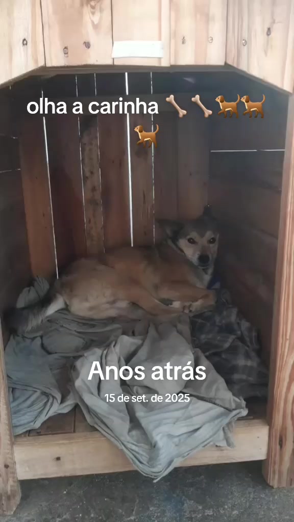 @José Wilson Rodrigues Barbosa