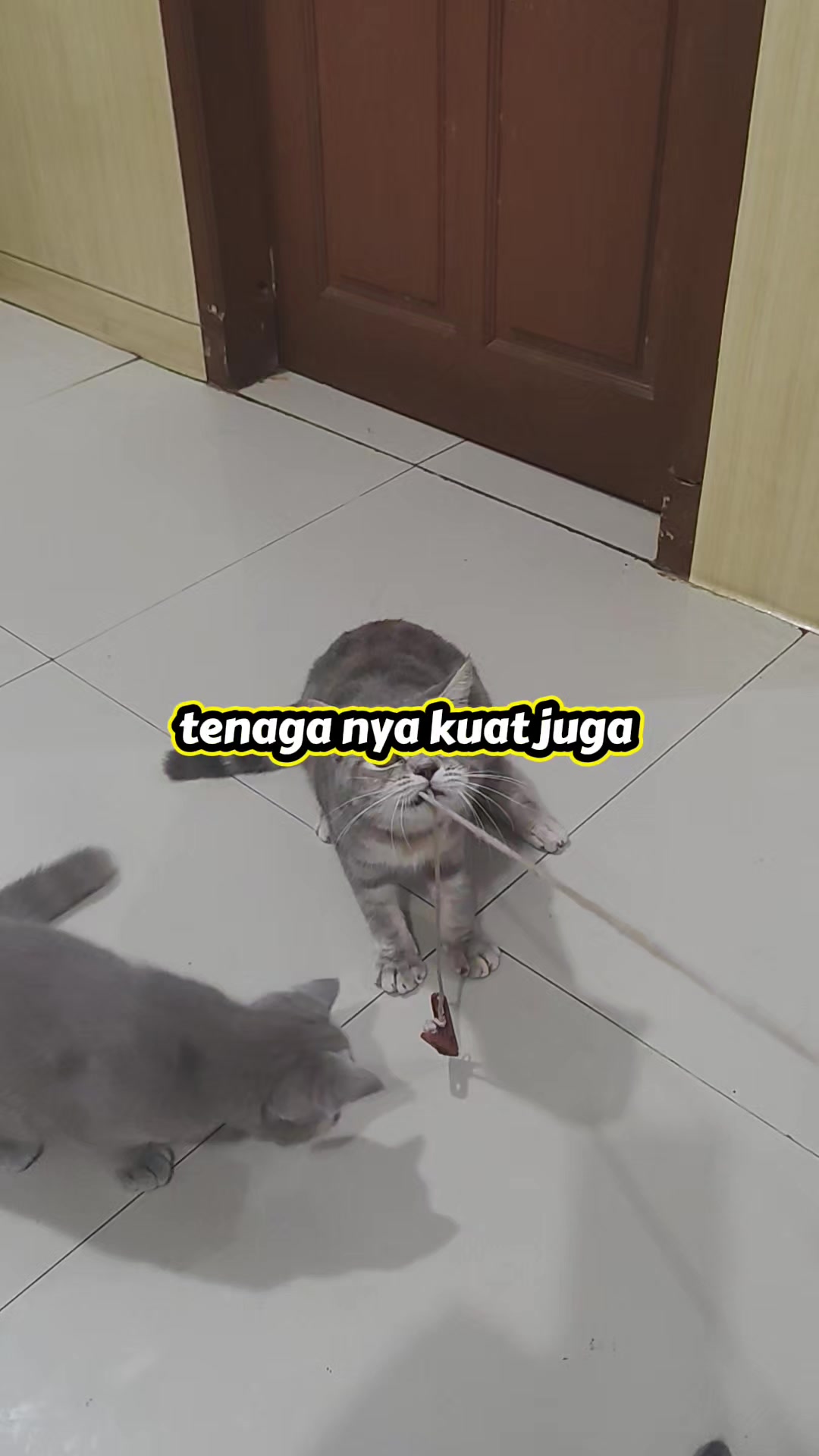 @ira maya