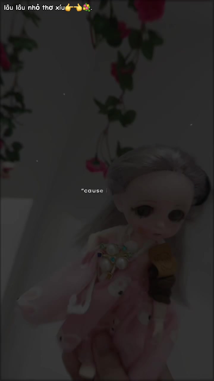 @☆₊˚⊹🫐ᰔsunniᰔ♡
