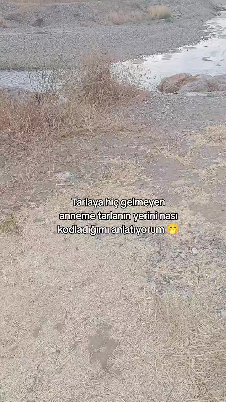 @Esin Nur