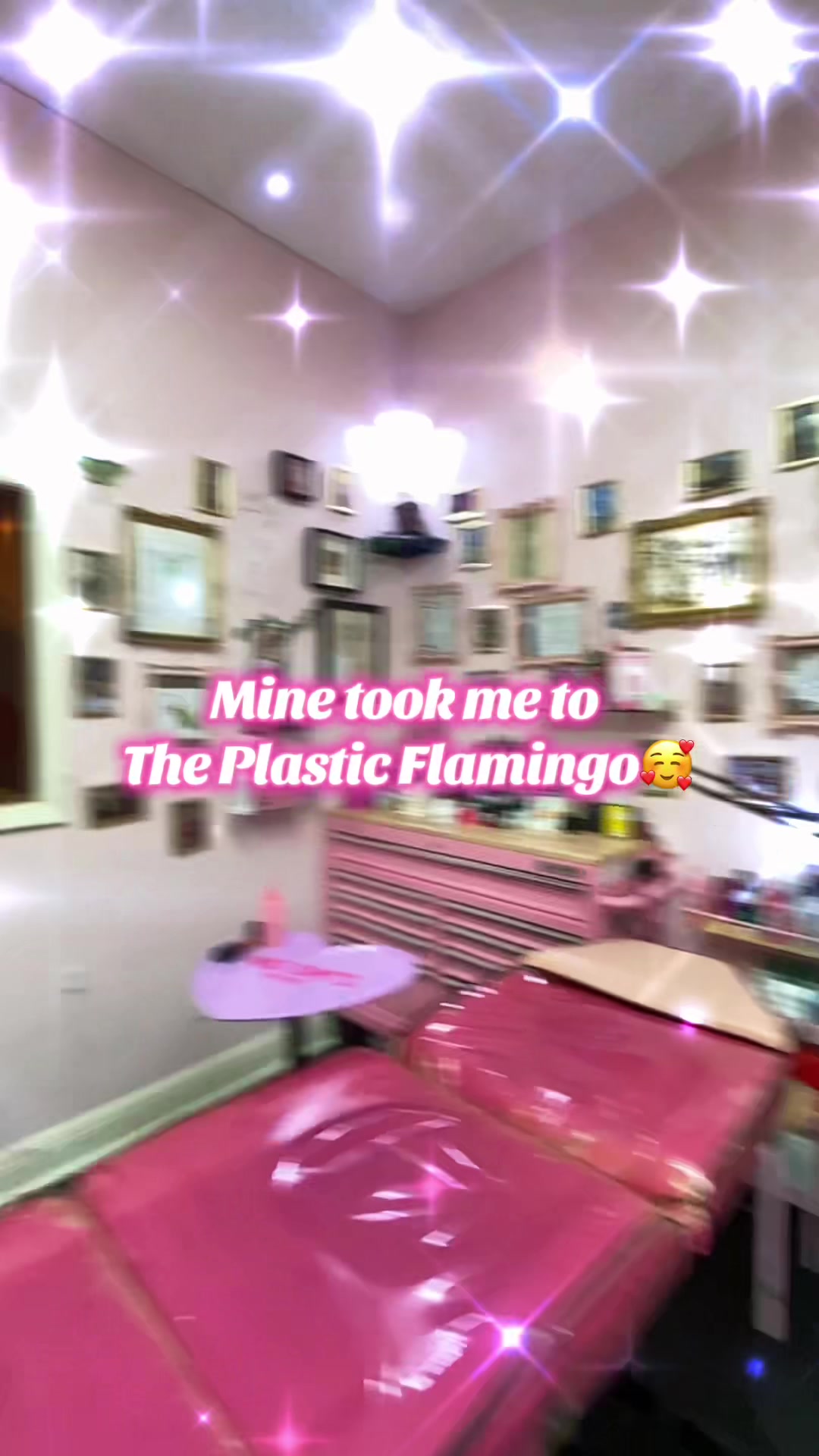 @The Plastic Flamingo
