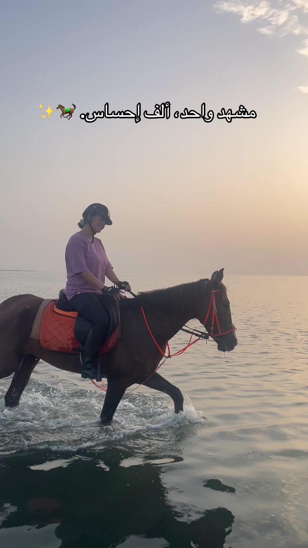 @Feres Ben Amor 🏇