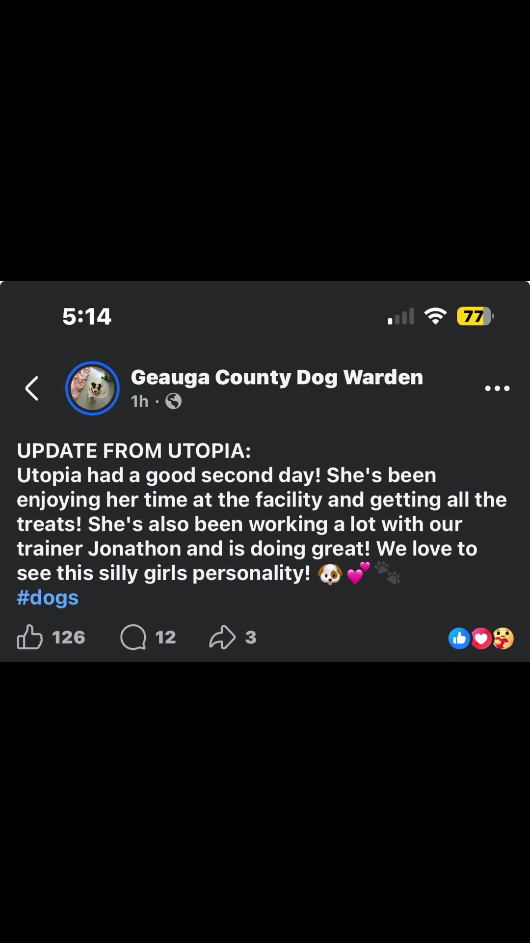 @Jay TheDog Trainer