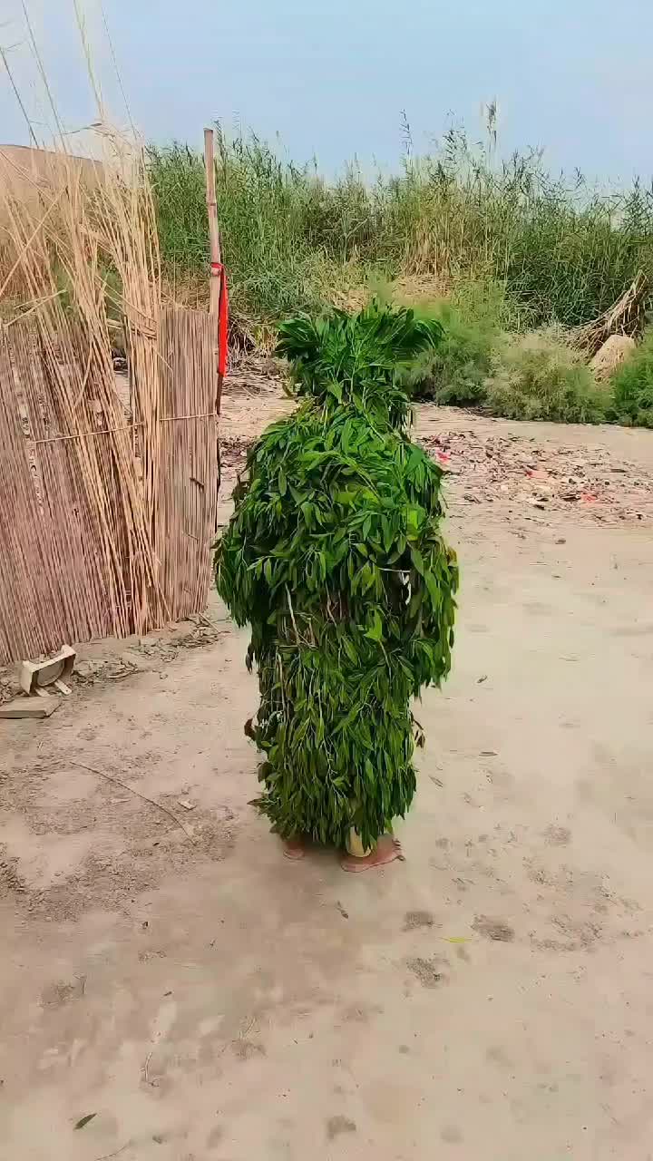 @TiktokKASAP