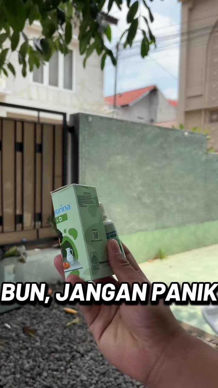 @Kak Maulana | Konsultan