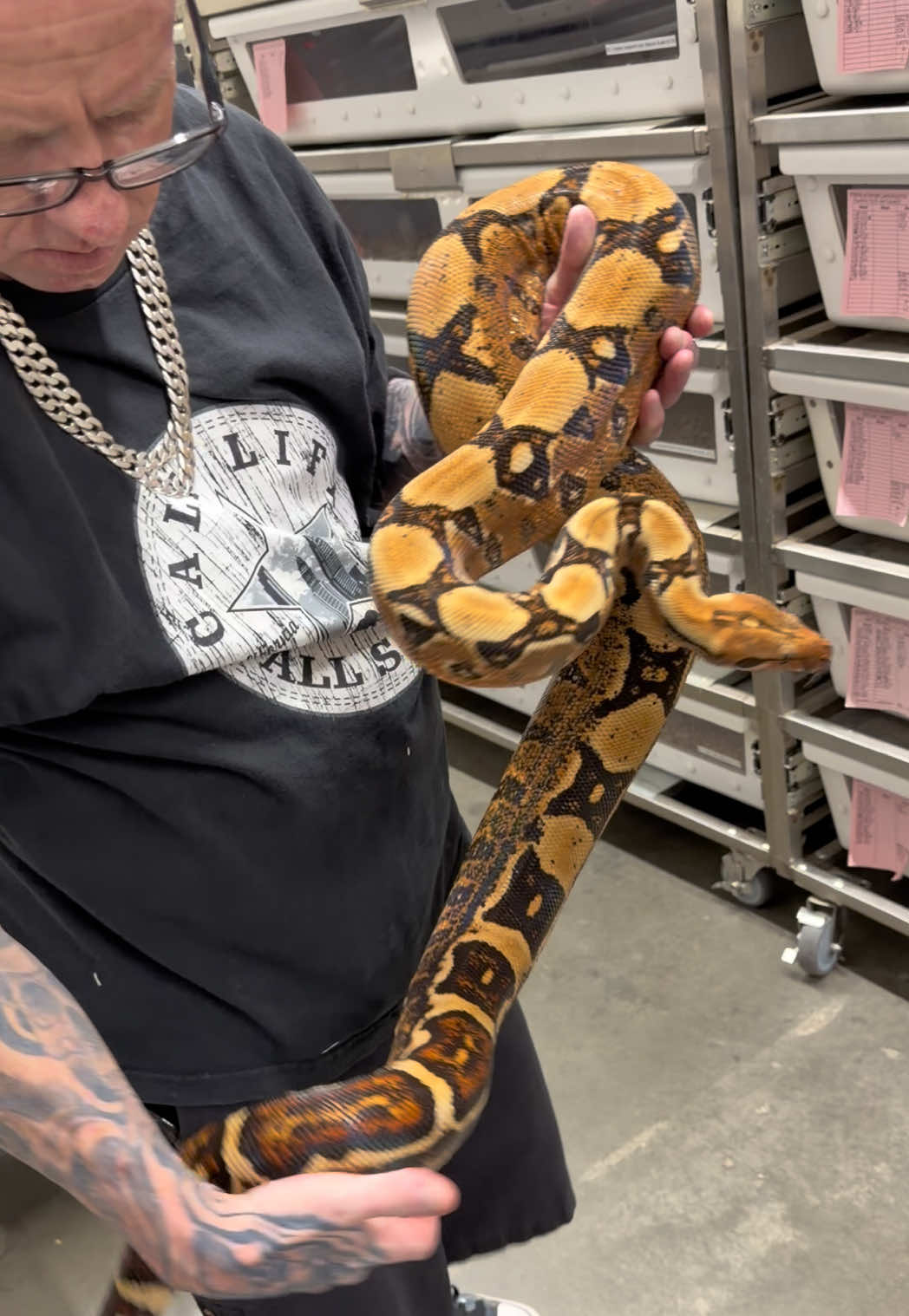 @Snake Country
