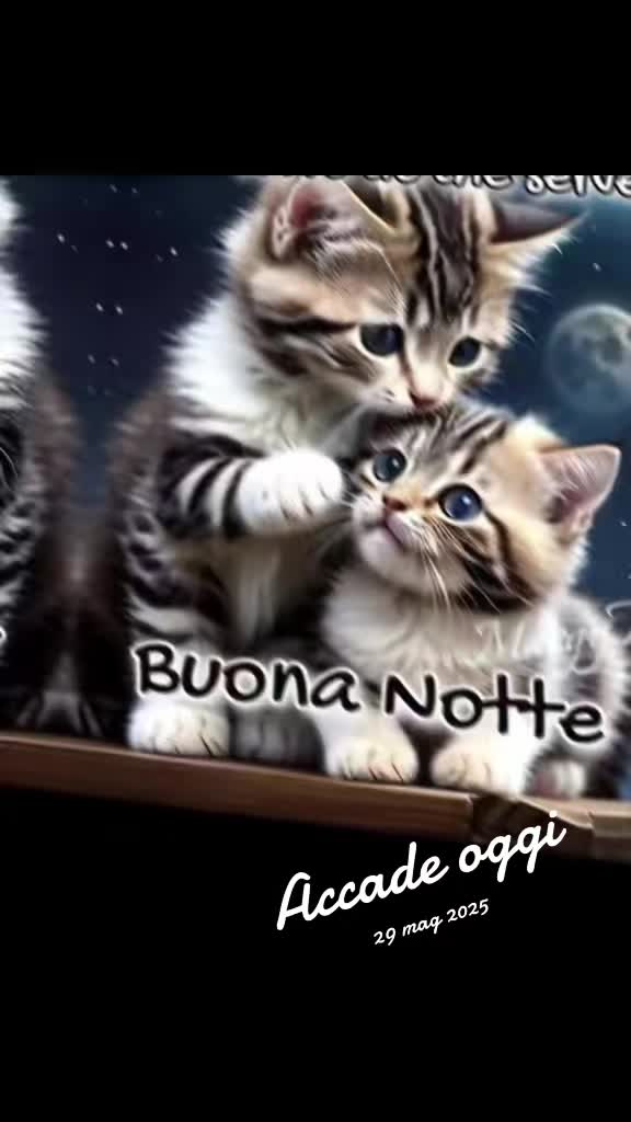 @Anima Nera