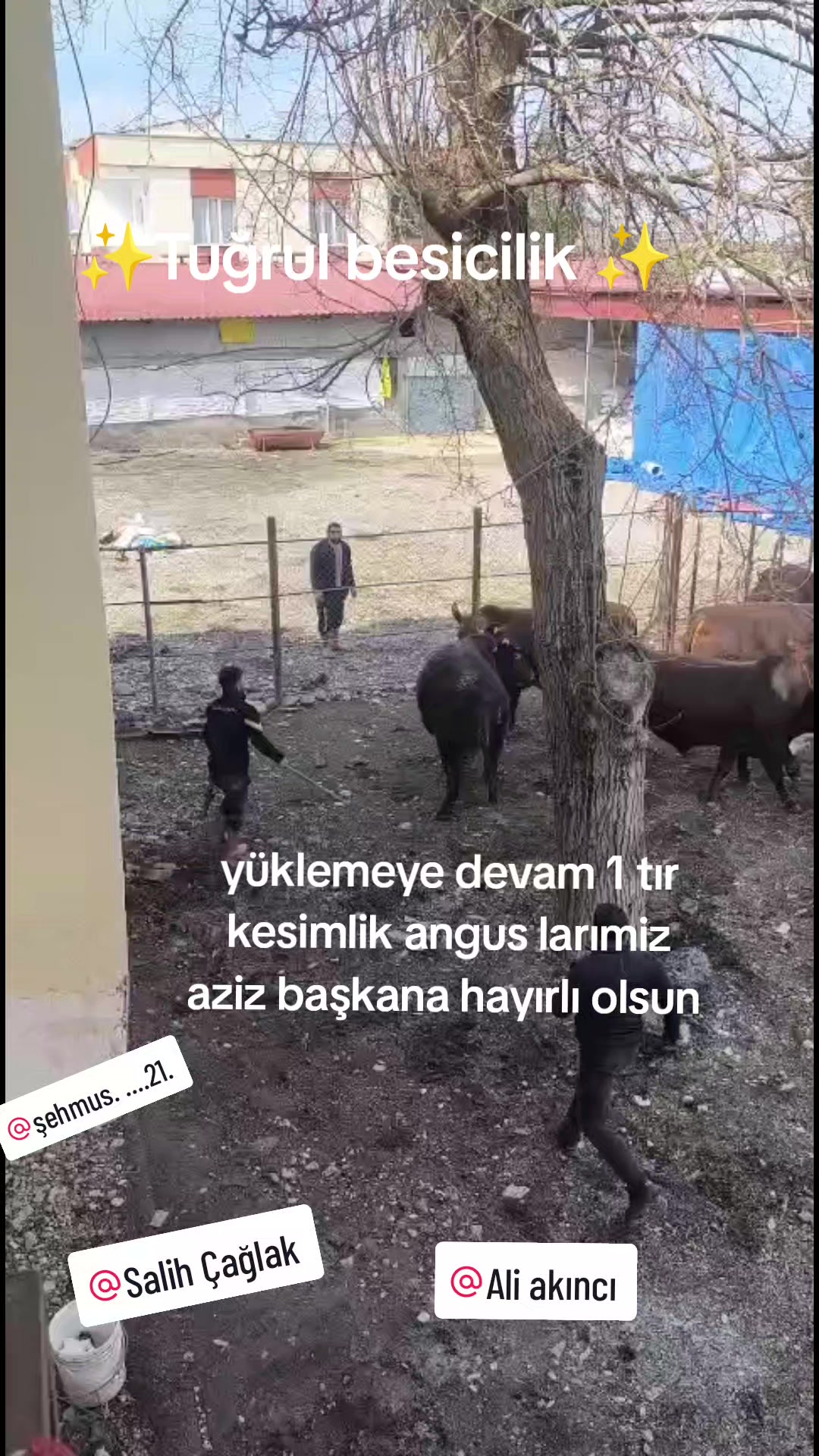 @Mehmet Yalçın Tuğrul