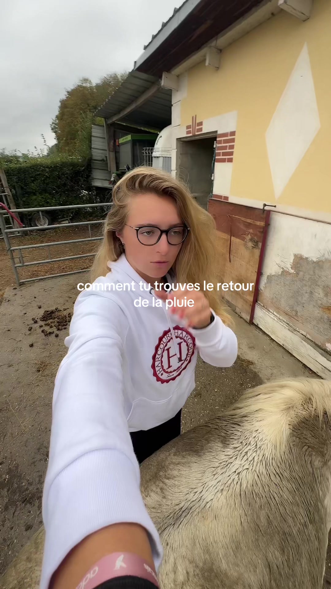 @benjyylepetitponey