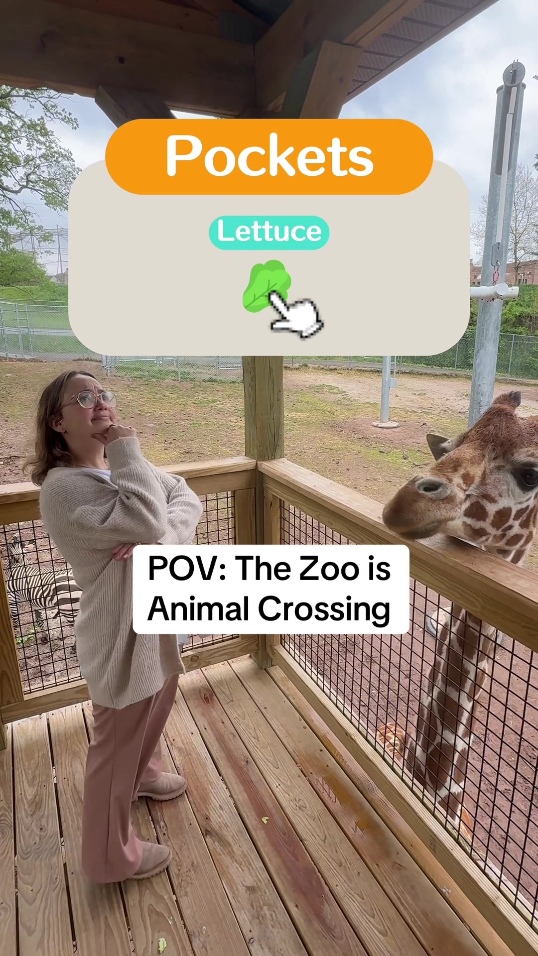 @Elmwood Park Zoo