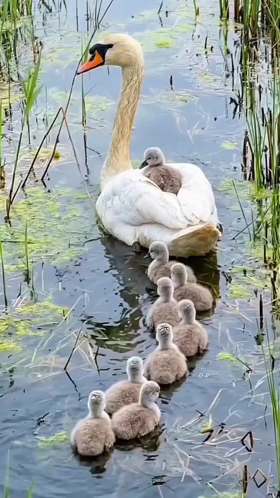 @Катя