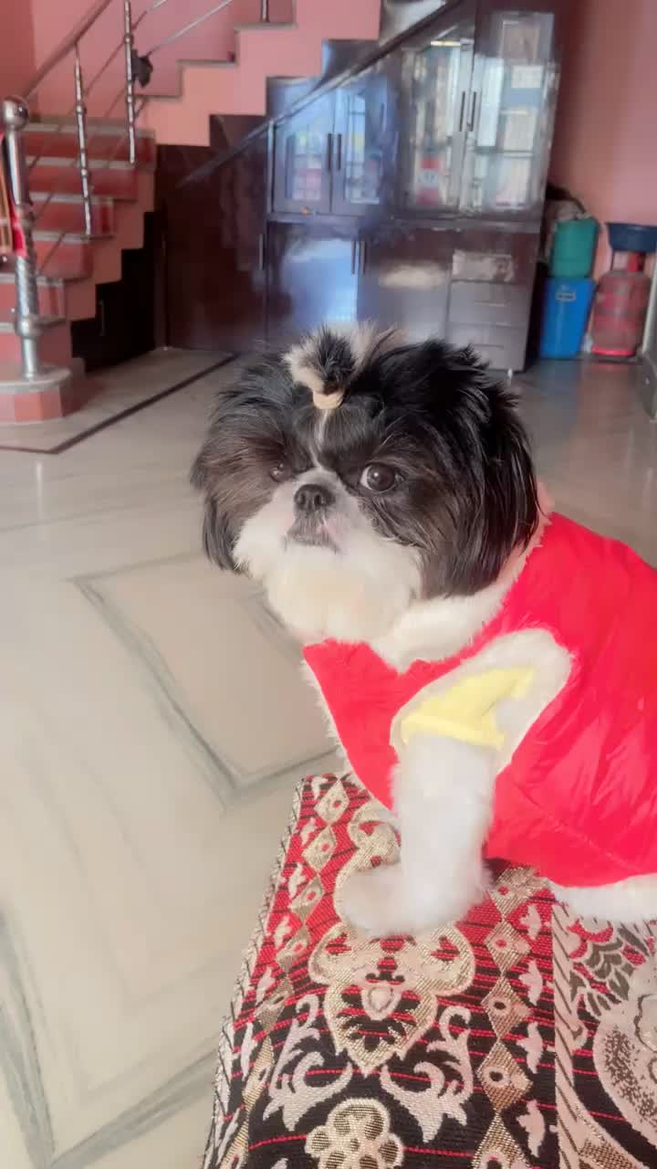 @Mahi
