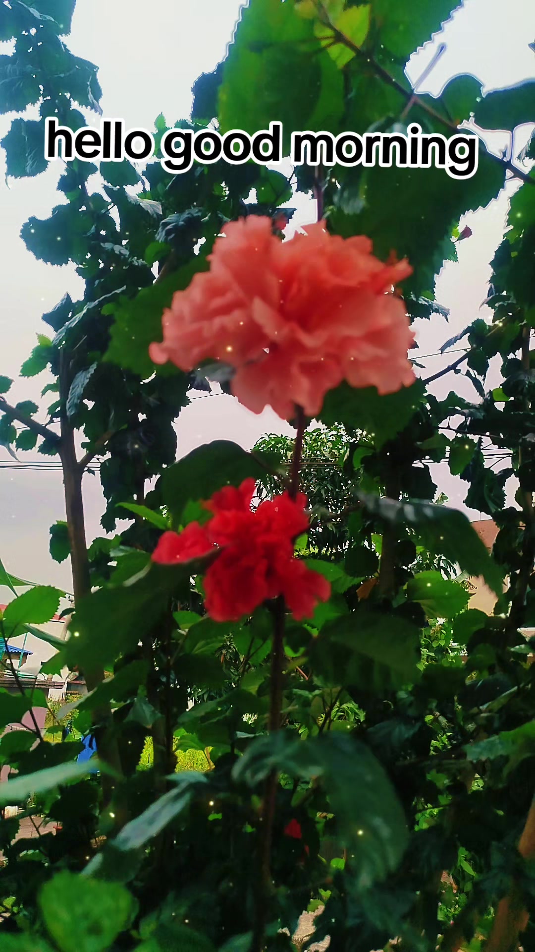 @@Ganga.kurumbang