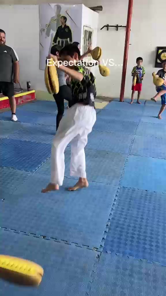 @taekwondolionsteam
