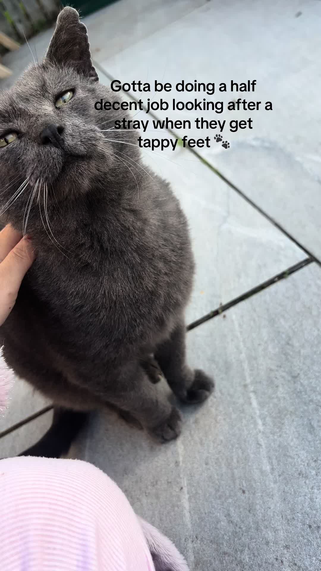 @houseofbengal