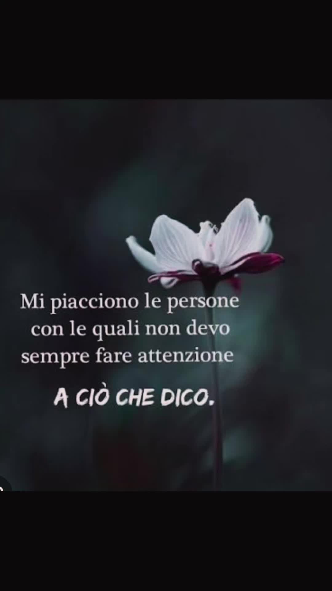 @❤️ Mery ❤️