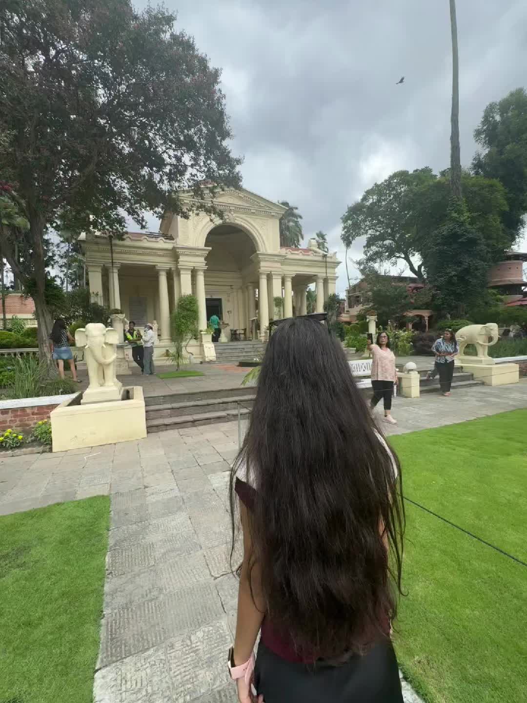 @🪼