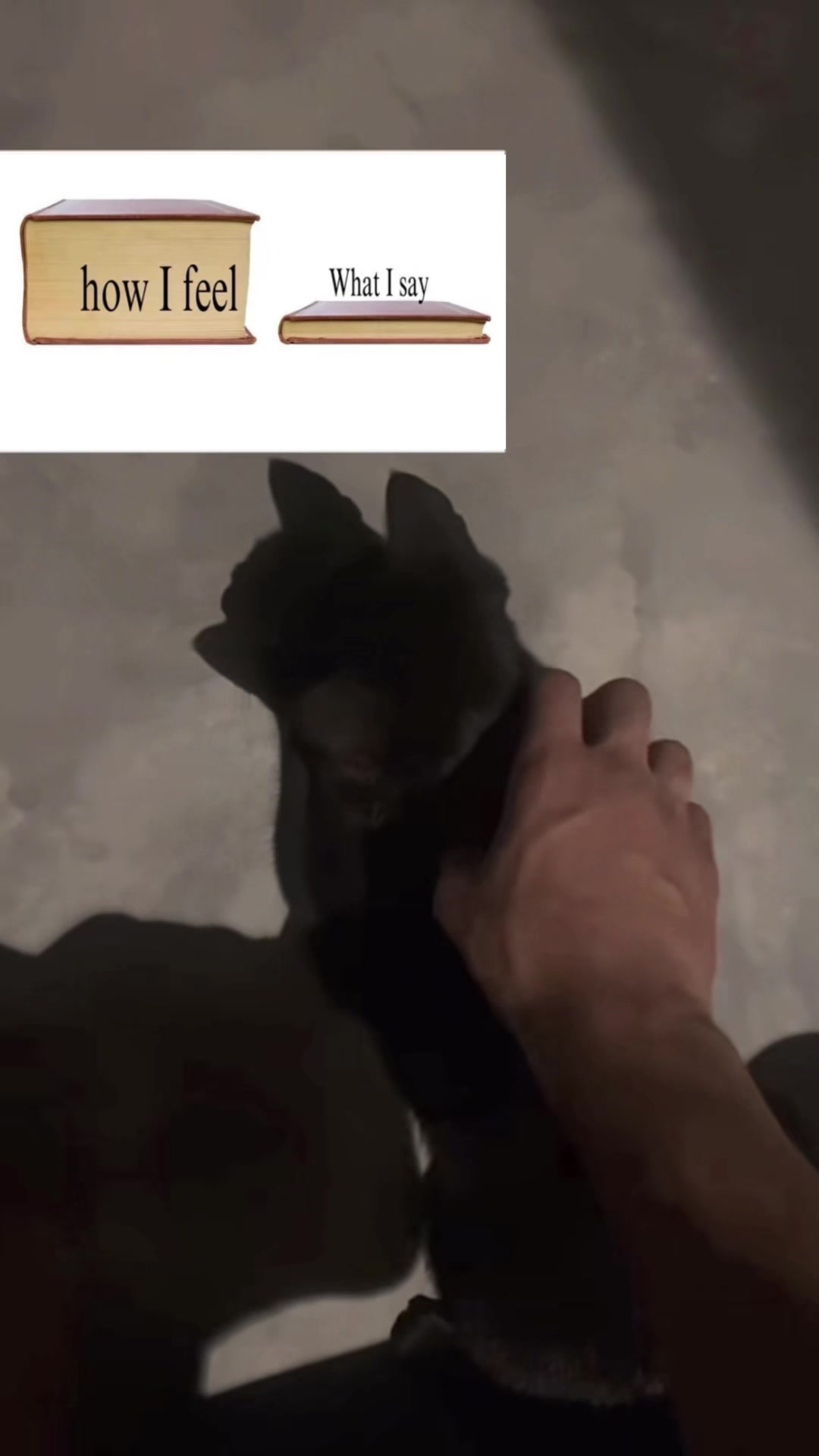 @ء