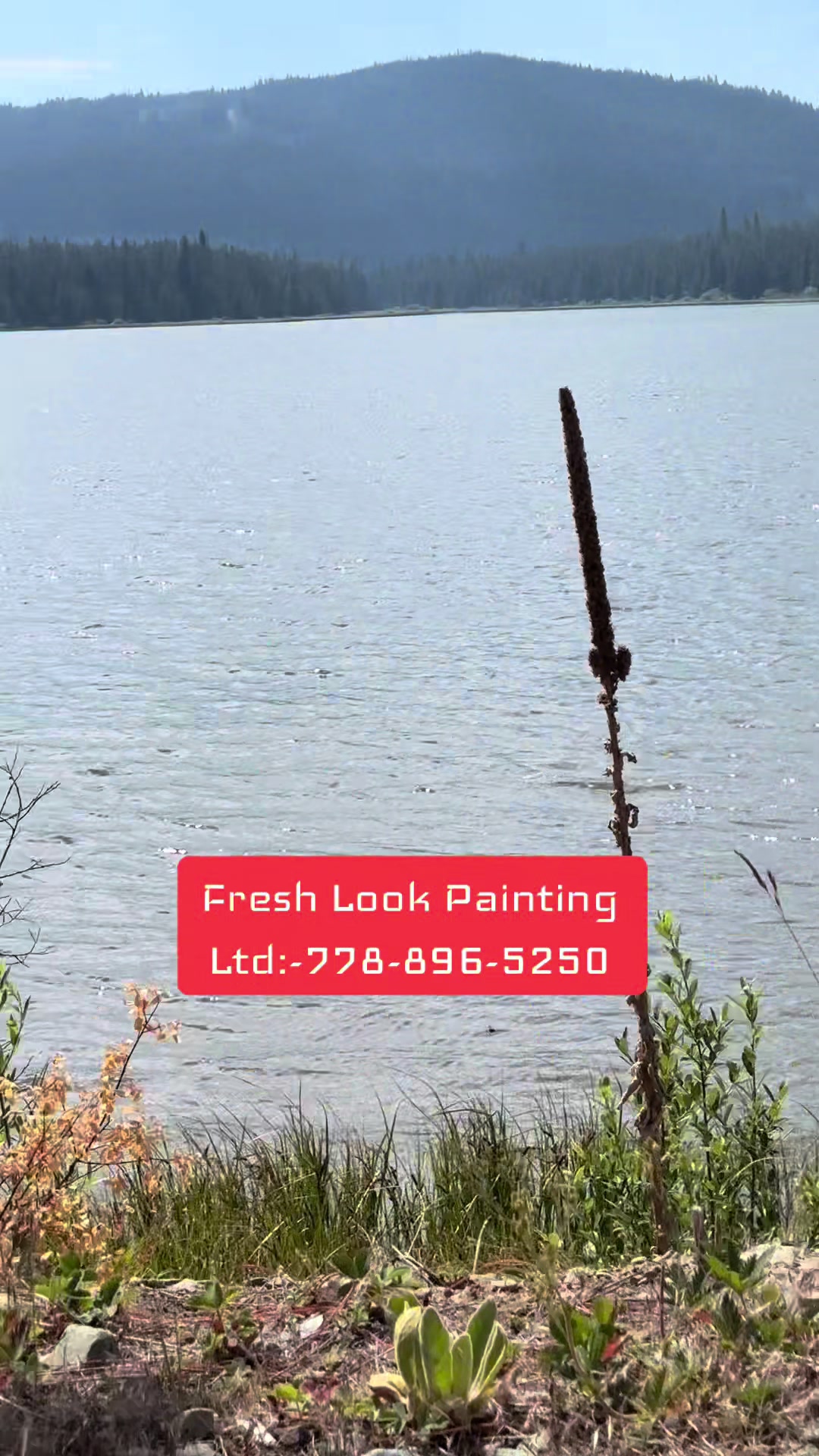 @Fresh Look Painting Ltd