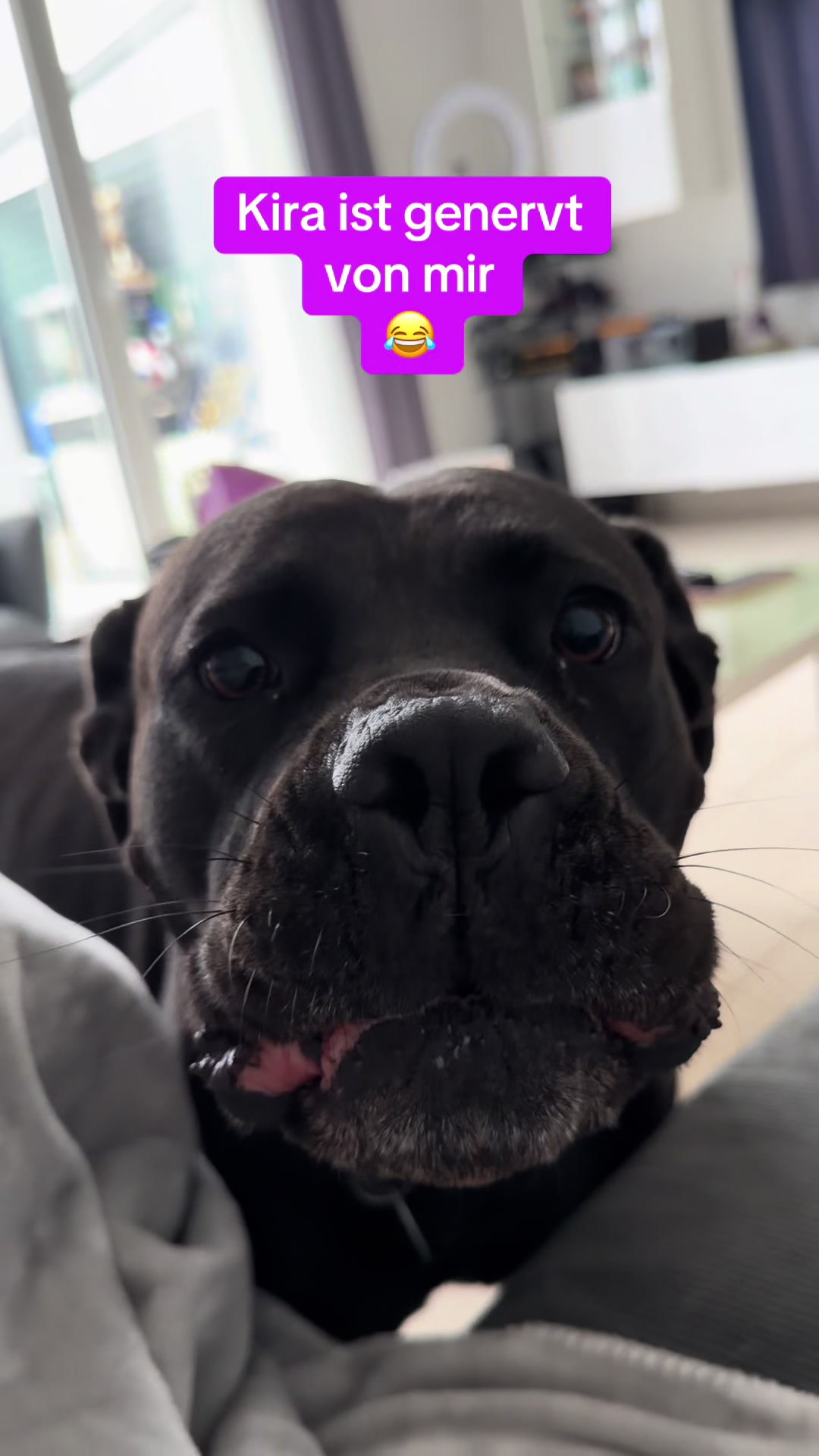@Braunici