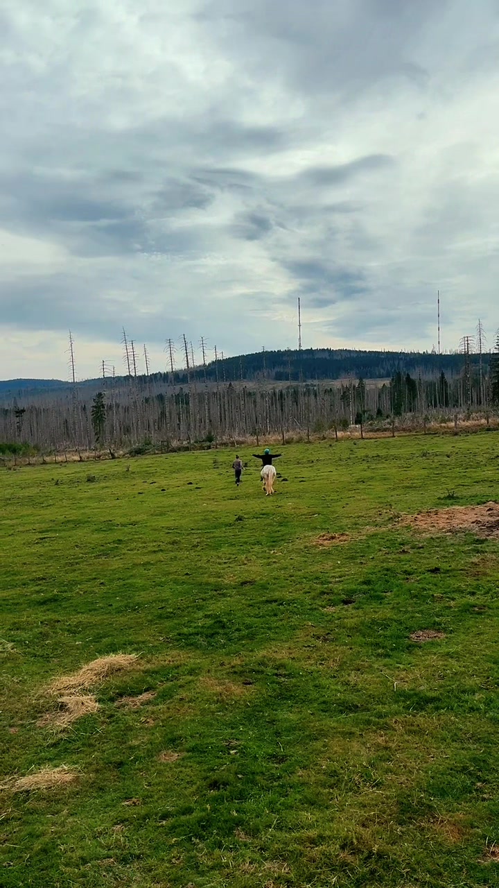 @HafiHorse2