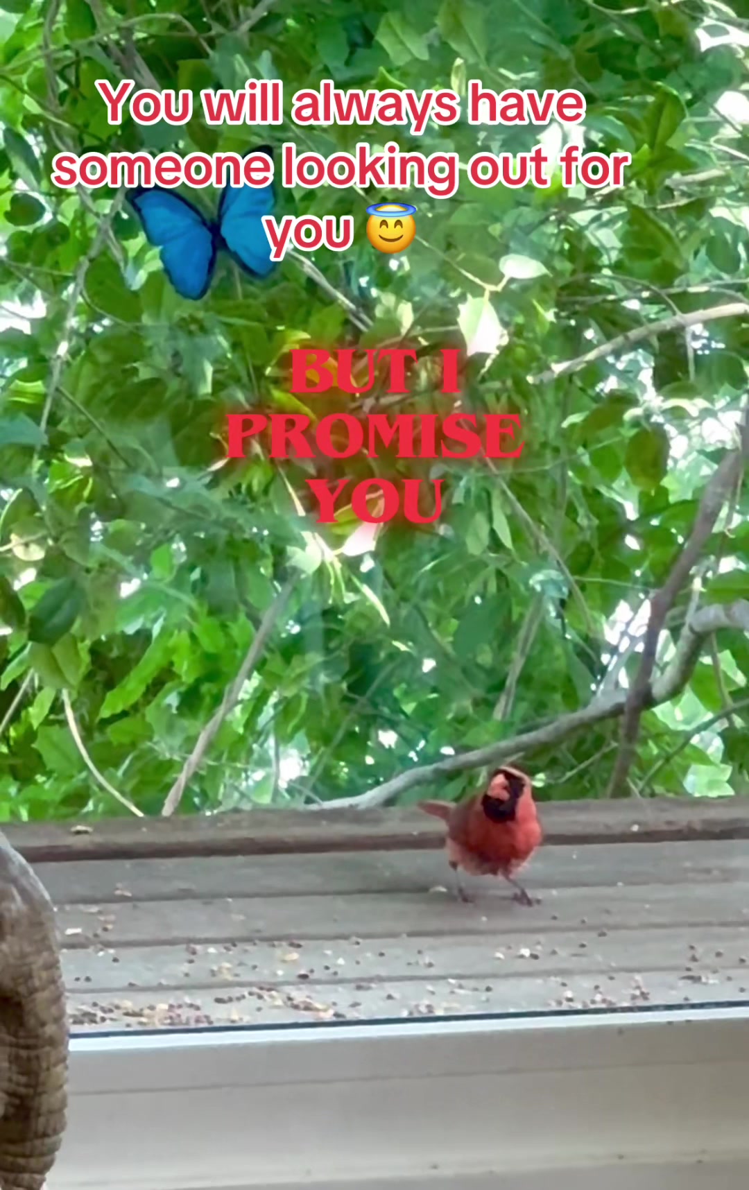 @E🌹