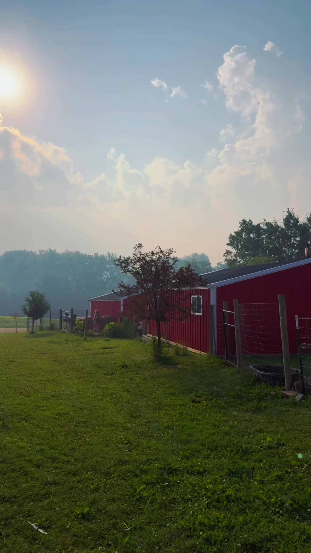 @Wild Pyle Acres