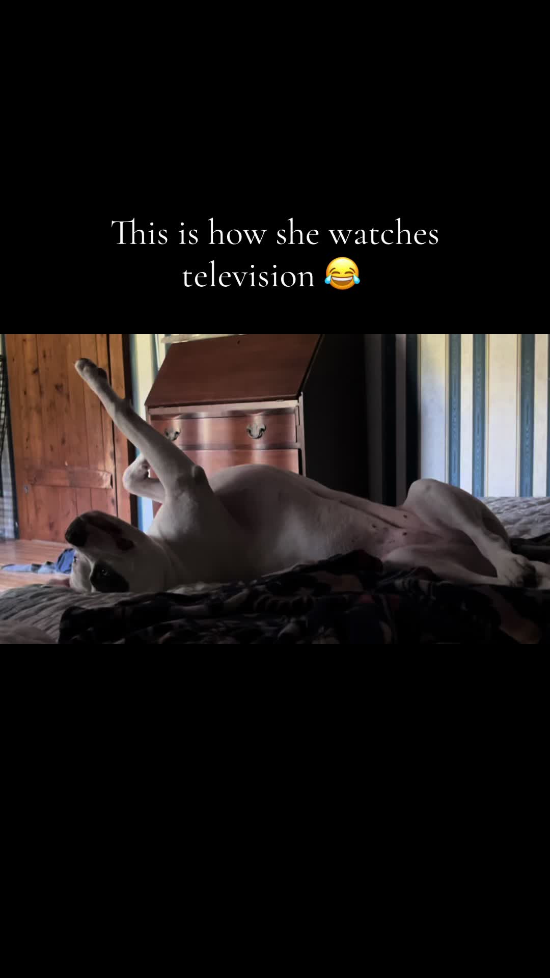 @LittleOggs