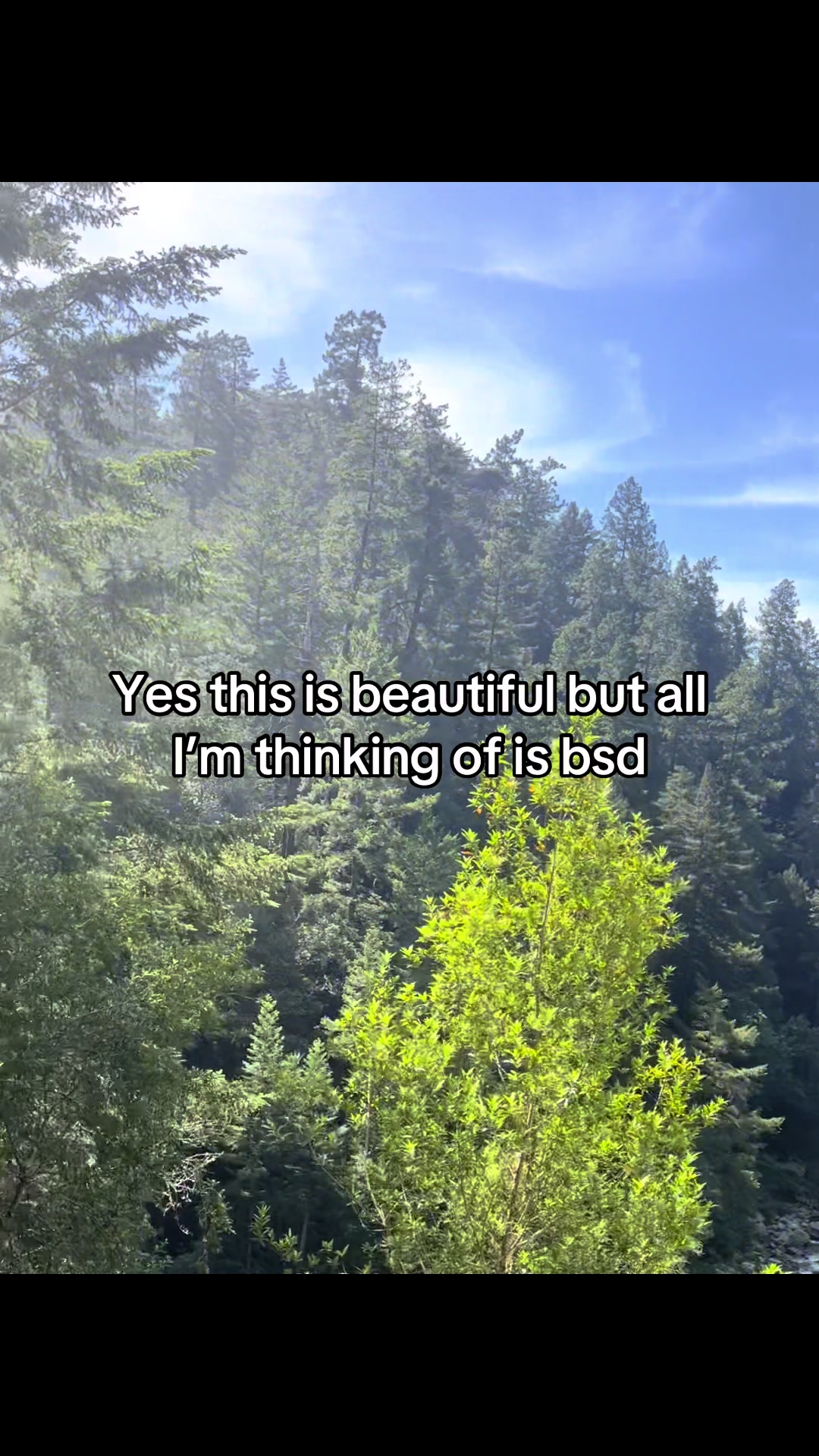 @𝗔𝗡𝗚𝗘𝗟𝗔