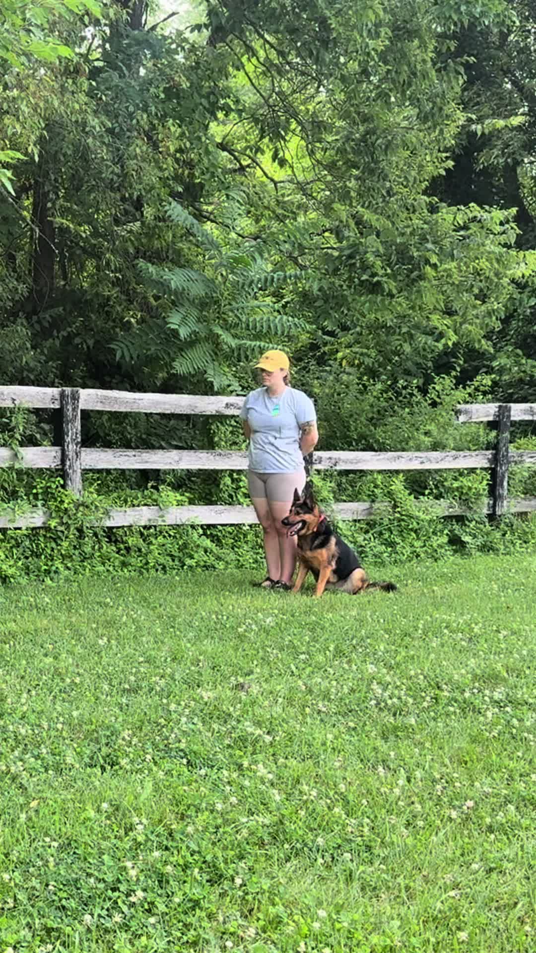 @Dog Trainer Charlotte