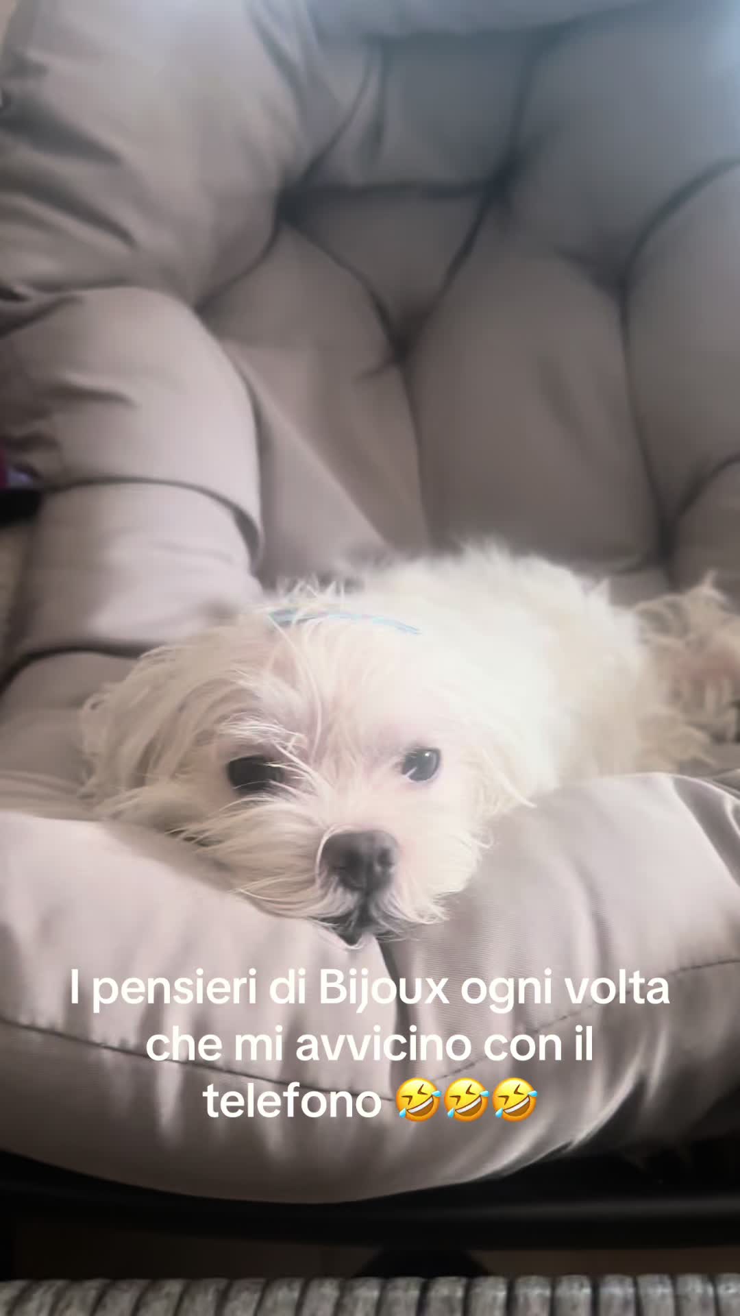 @Vanessa0909