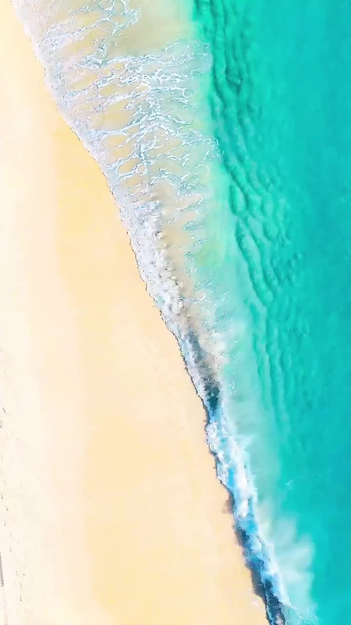 @thefloridaqueenie