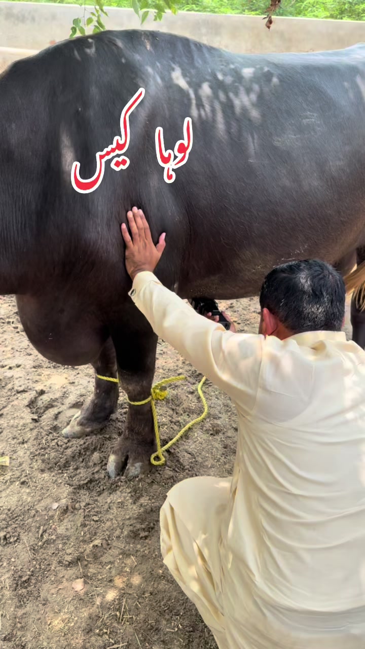@Dr.Mohsin