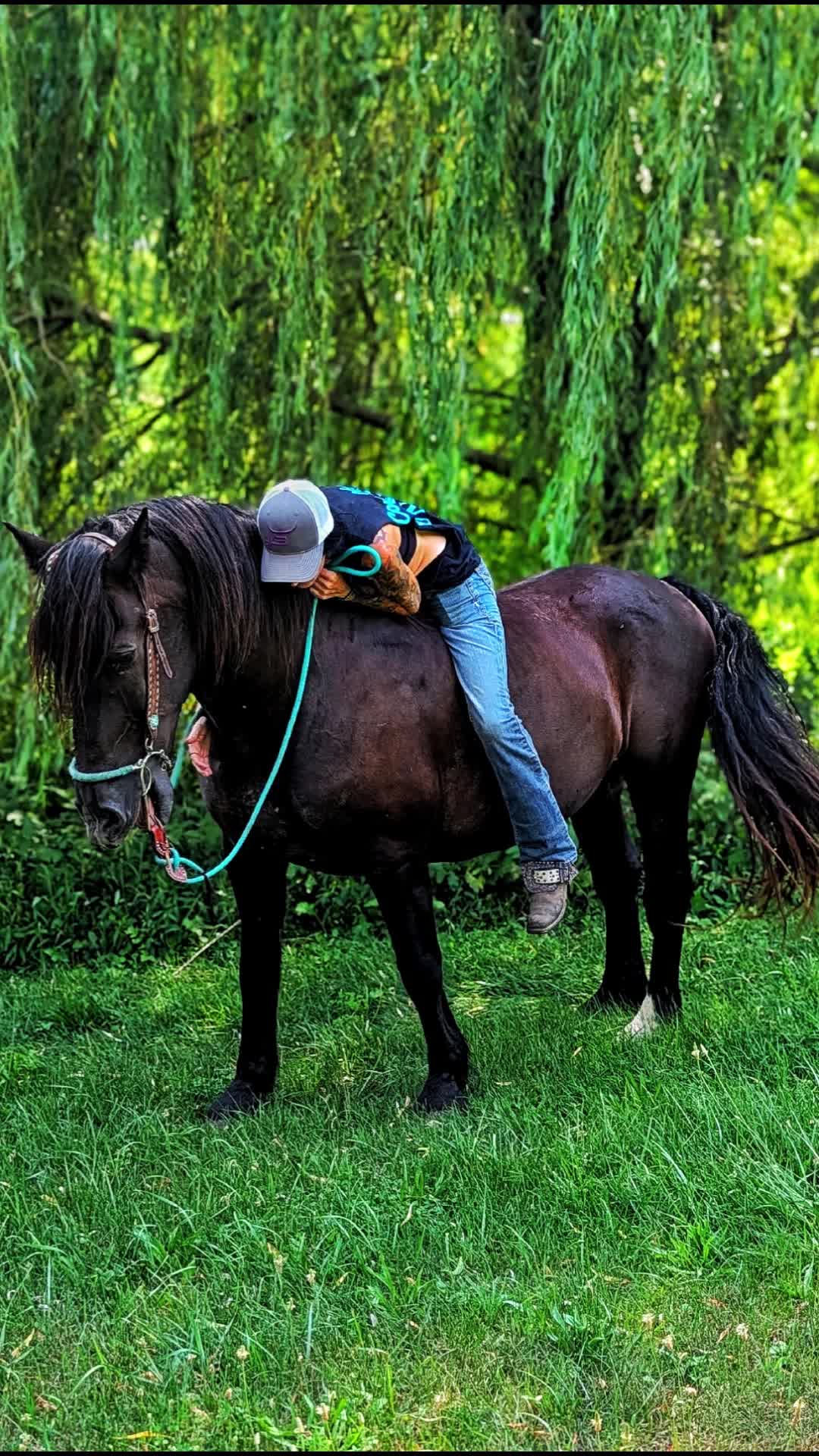 @RogueCowPonies