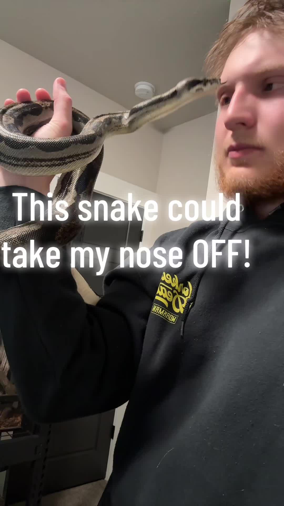 @That Reptile Guy