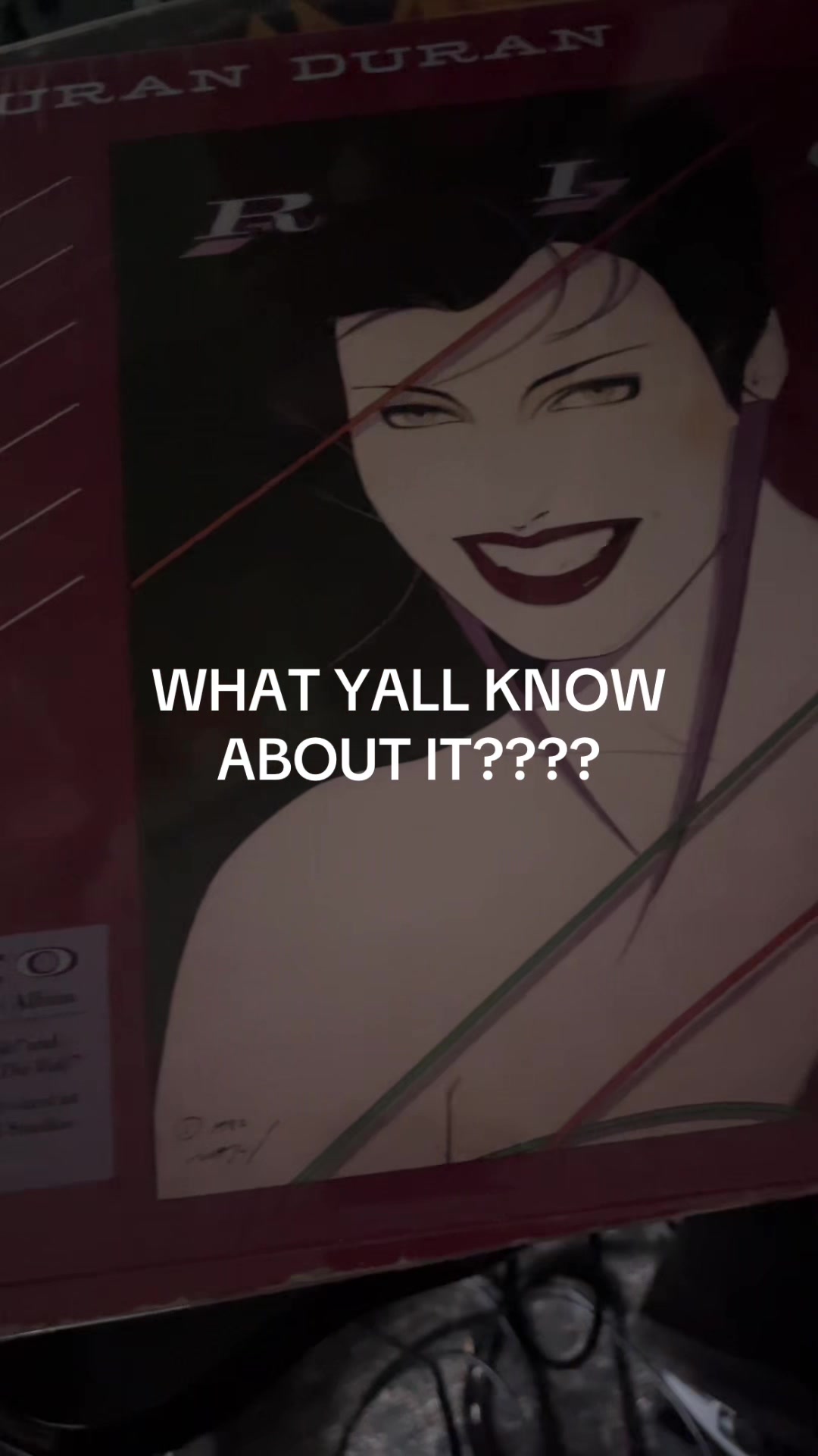 @The Vinylist