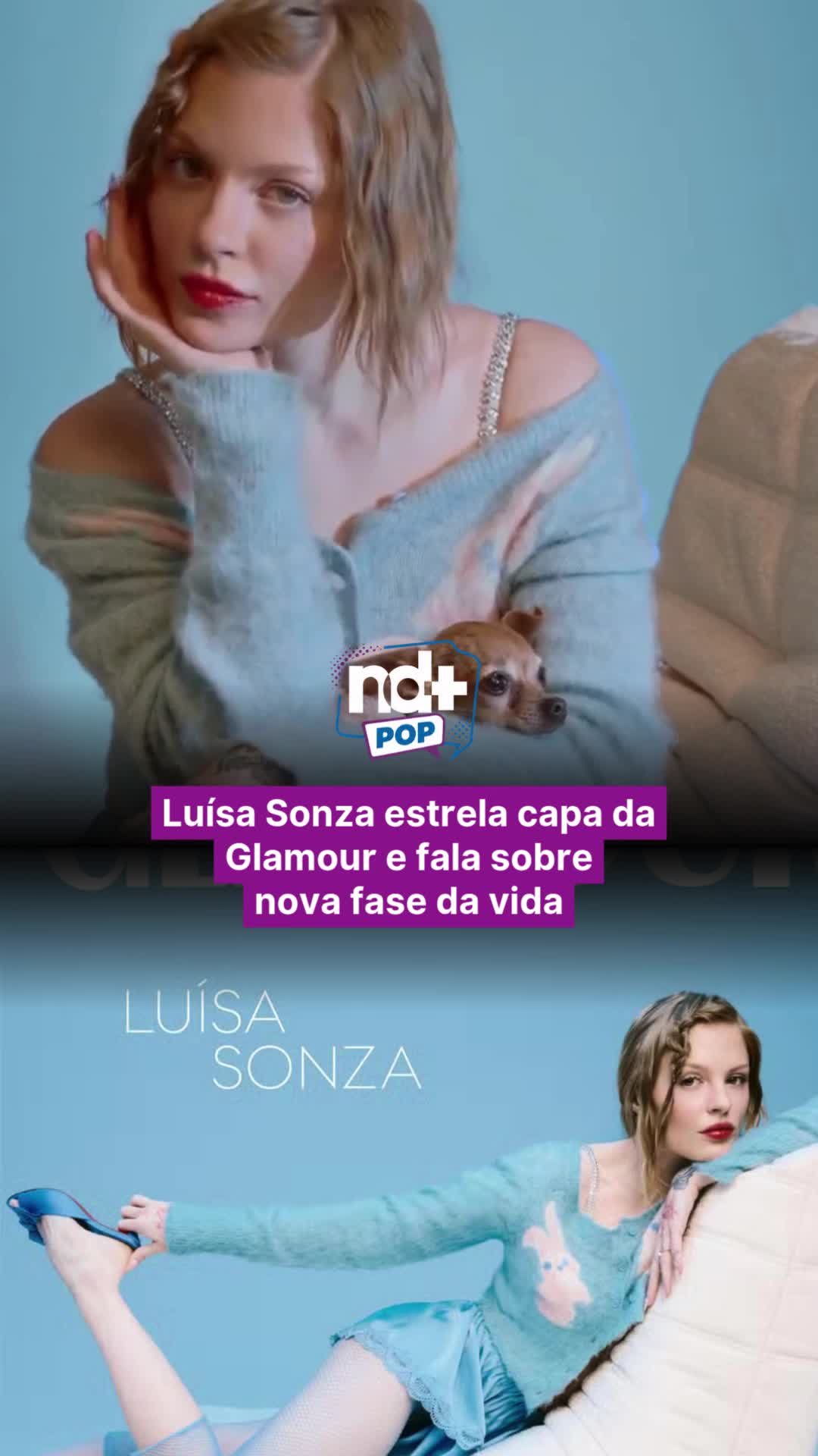 @portalndmais