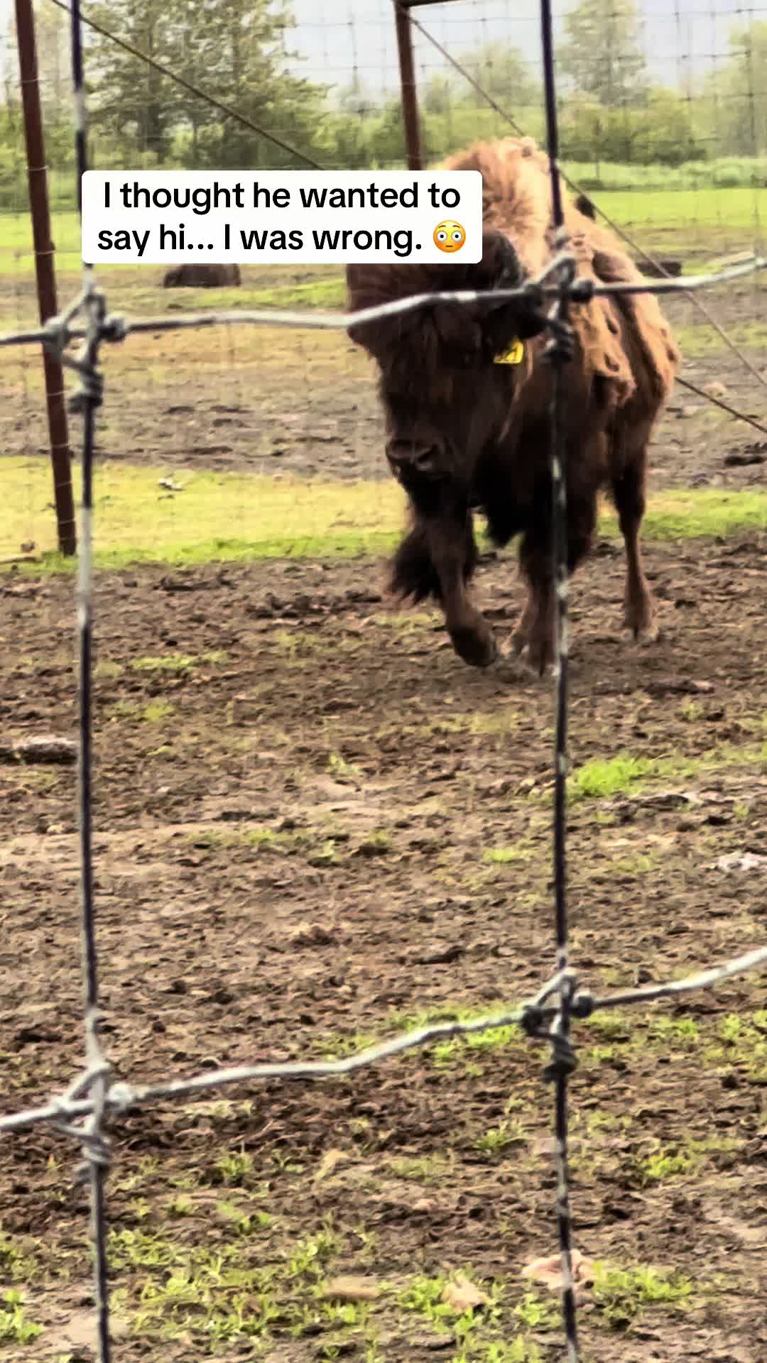 @ShadyCreekFarms