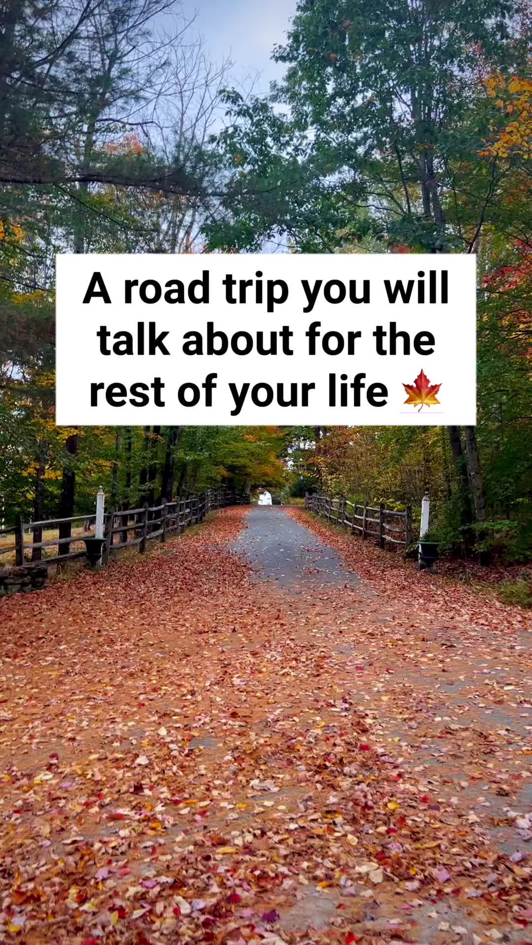 @Followmeaway