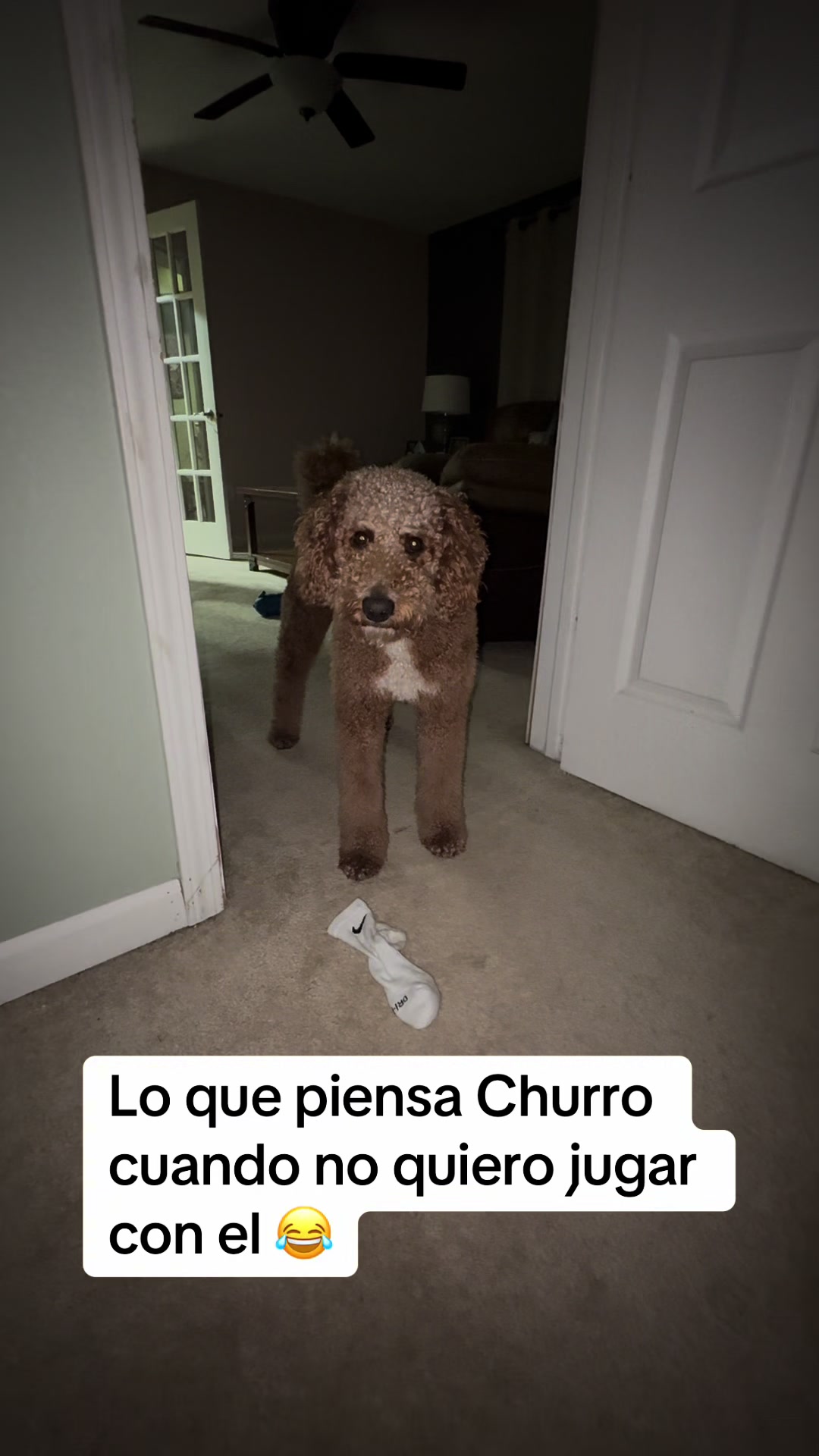 @Reyna y Churro 🐶😍