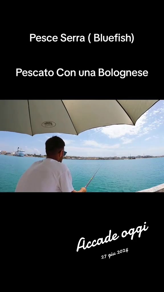 @GianlucaAmoruso