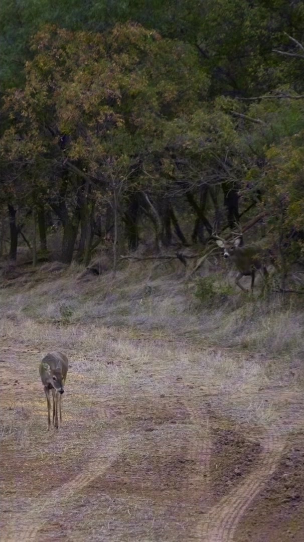 @Buckmasters Outdoors