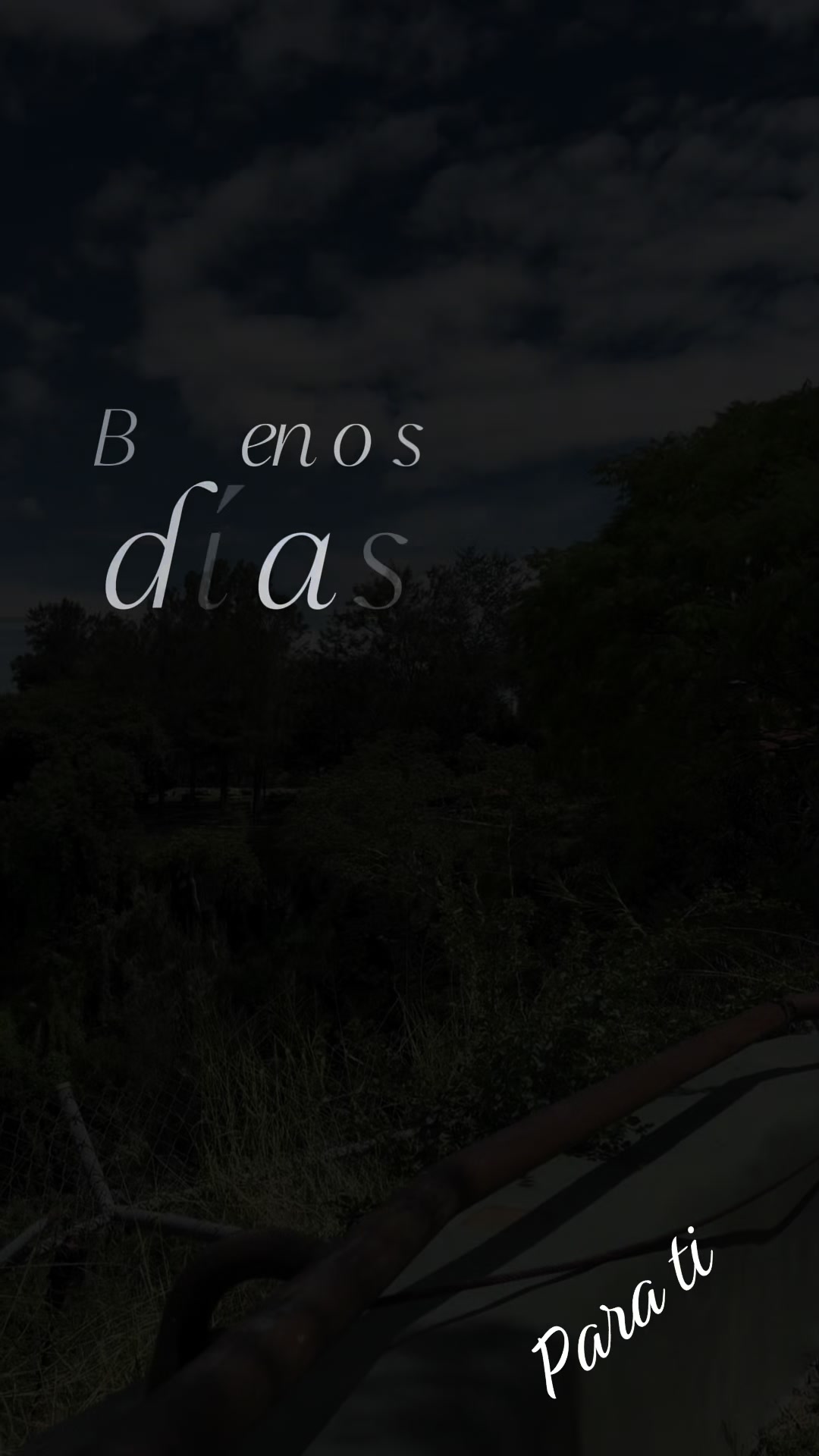@Dmsalz