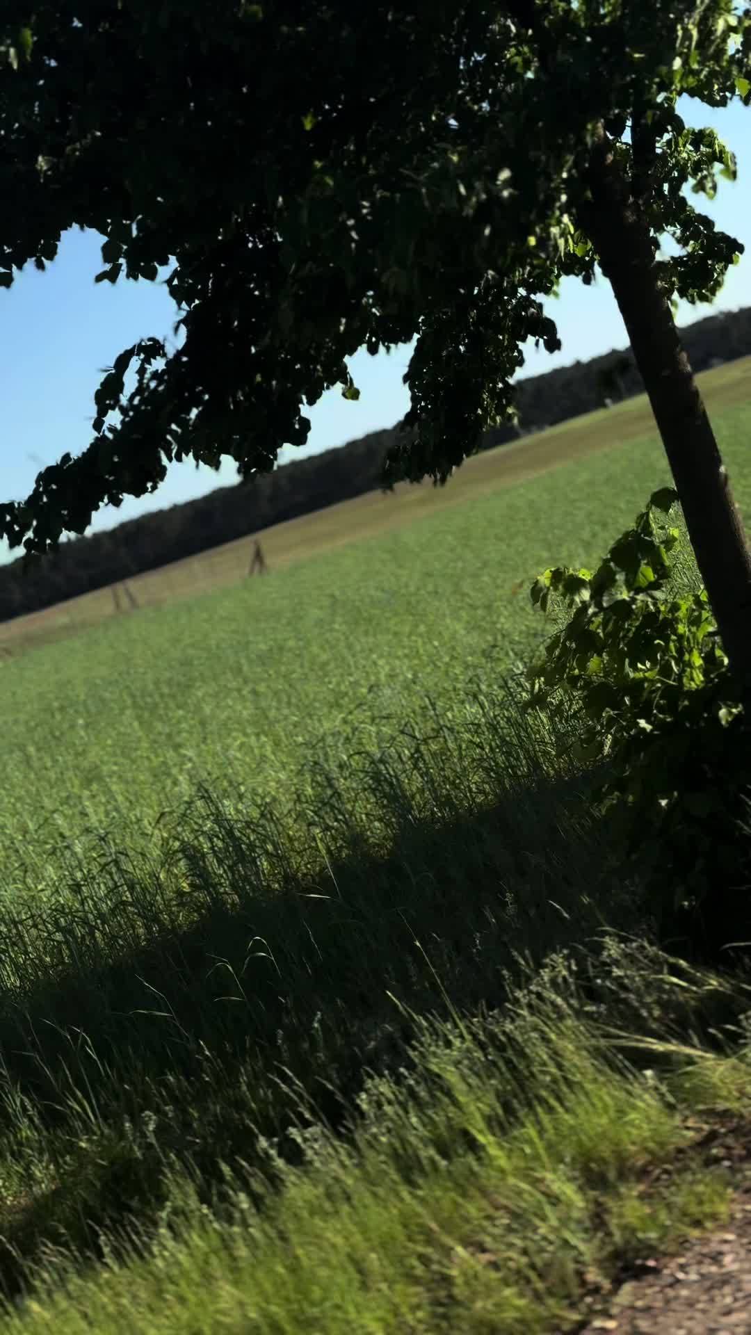 @Ben.KGR