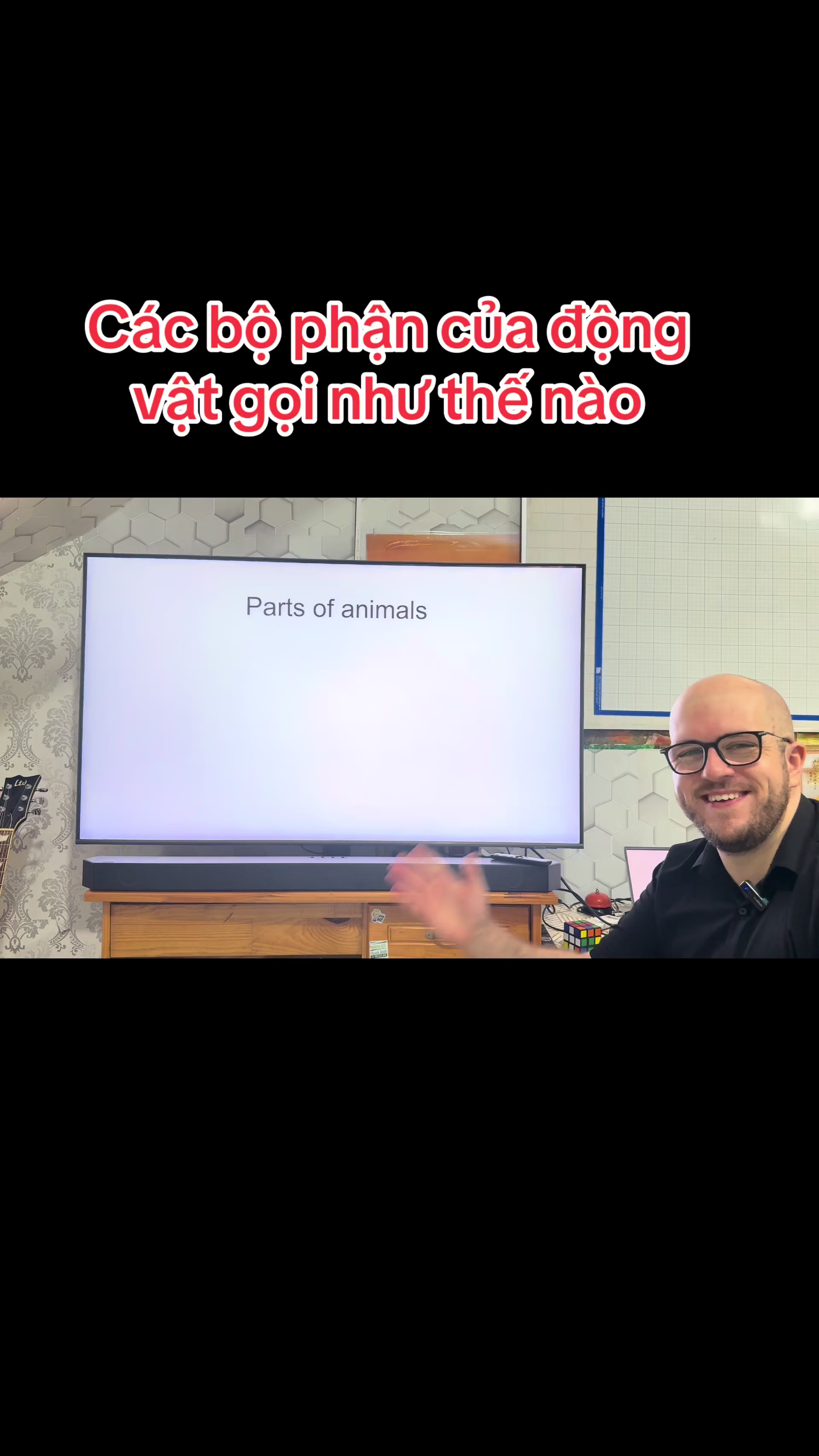 @Speak english