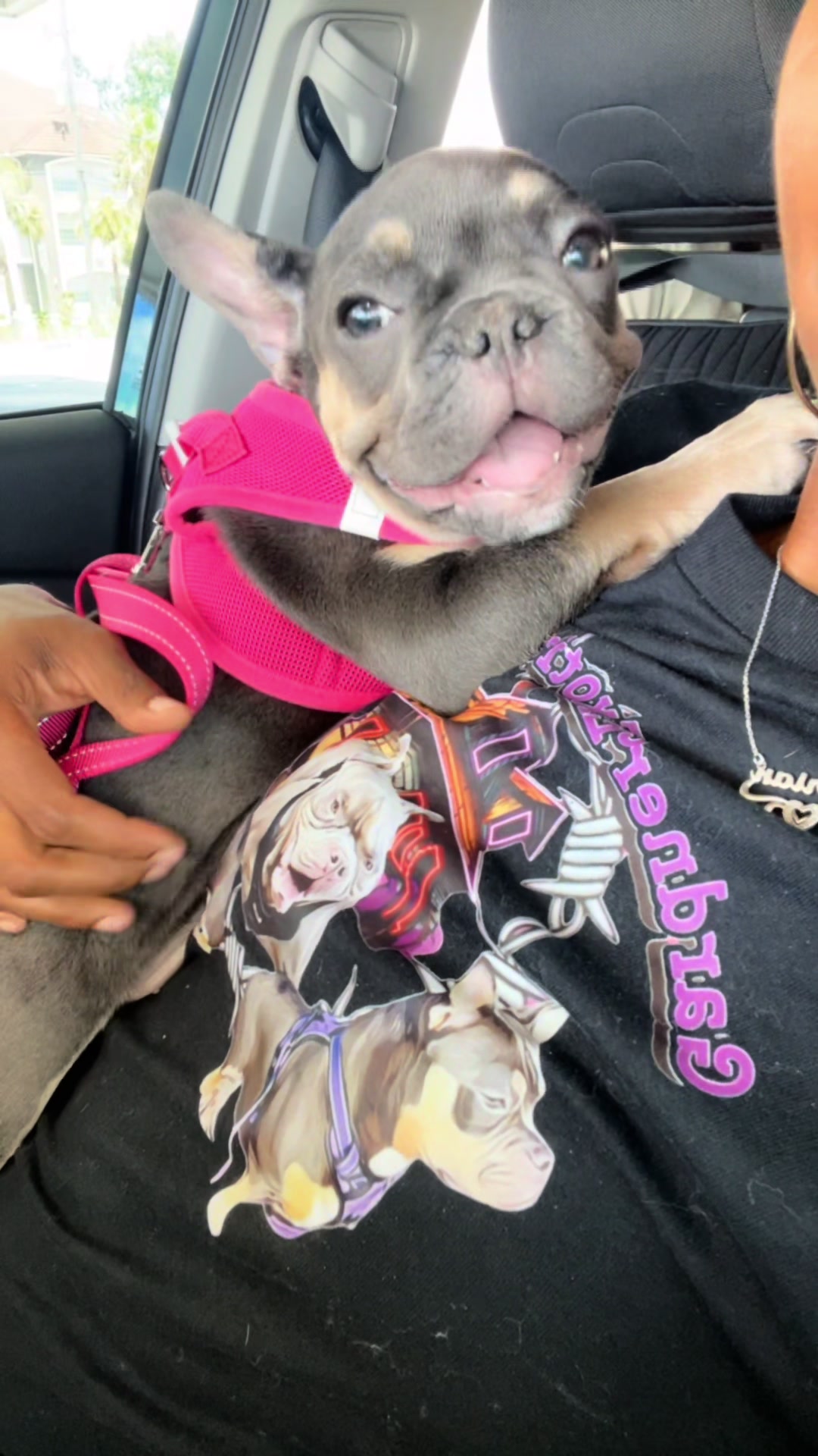 @gardnerkennel08