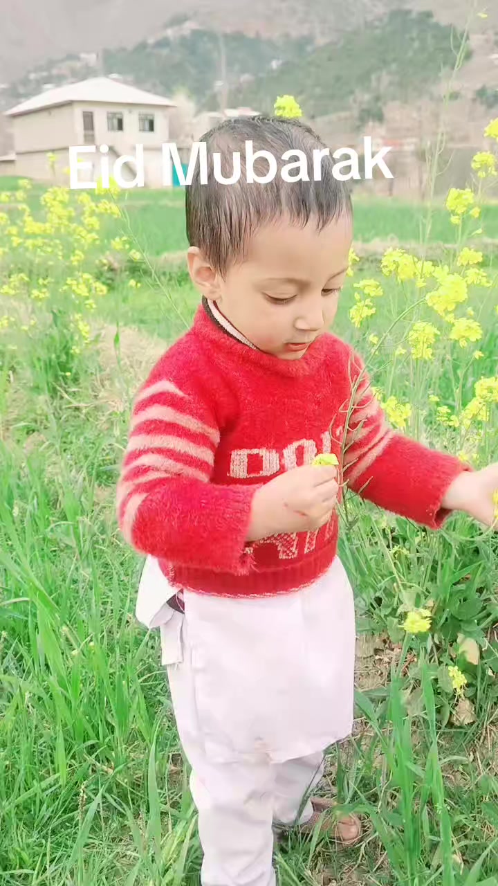 @Shahzadkhan804